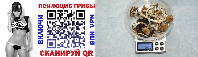 Галлюциногенные грибы Cubensis  кракен как зайти  Раменское 